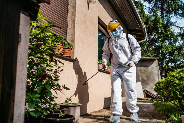 Best Pest Inspection Near Me  in Ladera Ranch, CA