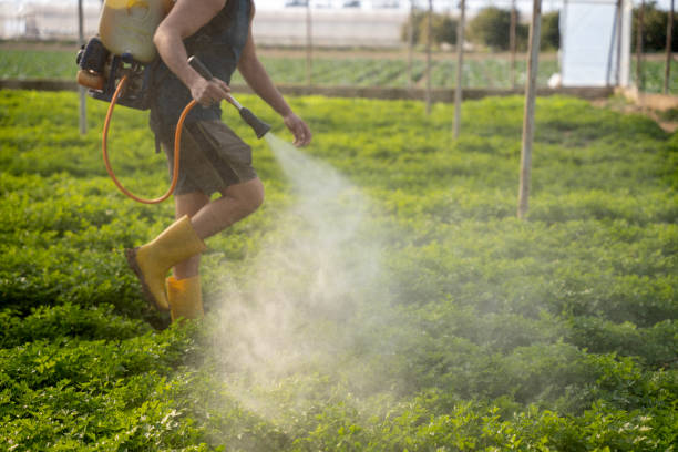  Ladera Ranch, CA Pest Control Pros