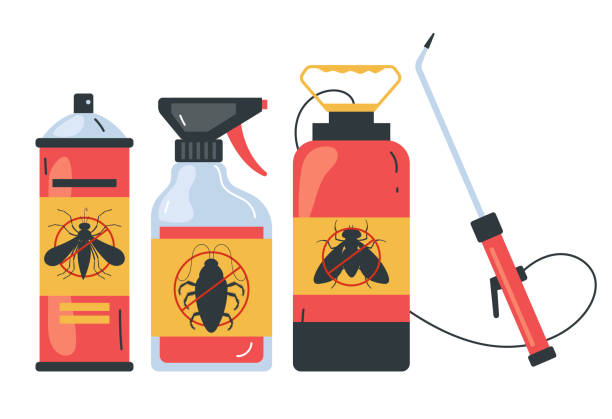 Best Termite Control Services  in Ladera Ranch, CA